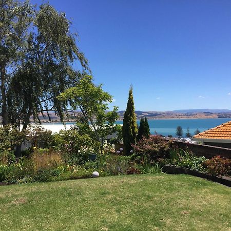 Jacaranda Lodge - Napier Hill Holiday Home Bagian luar foto